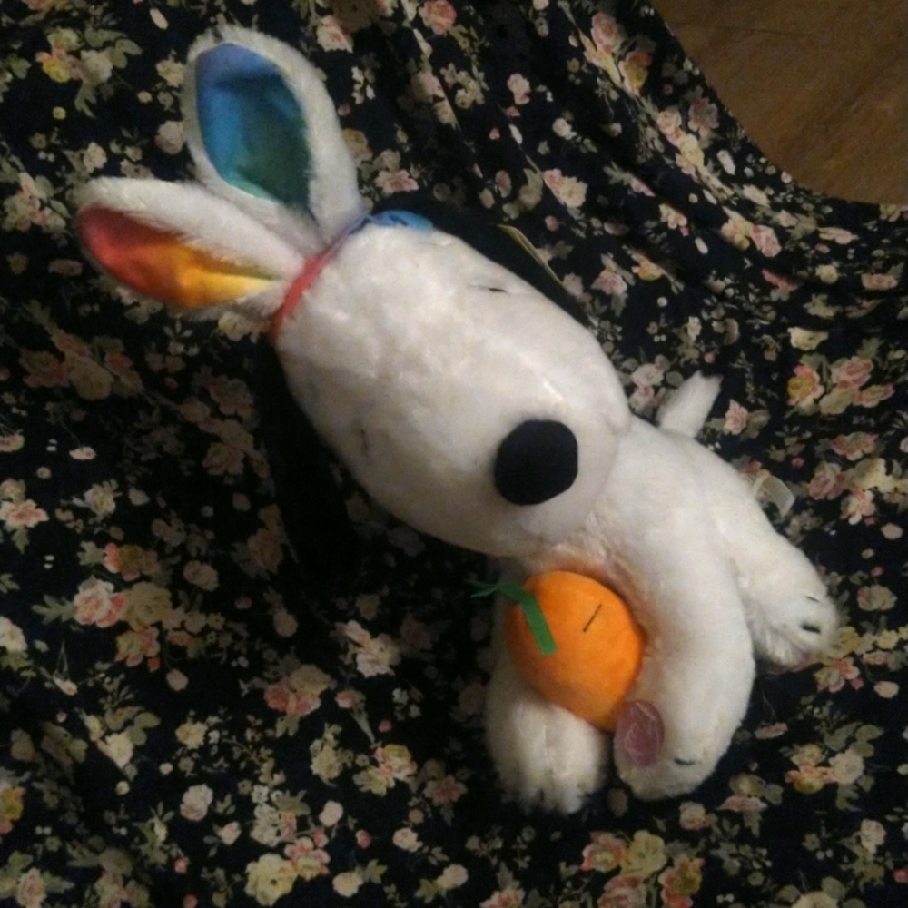 Peanuts Snoopy Plush Toy